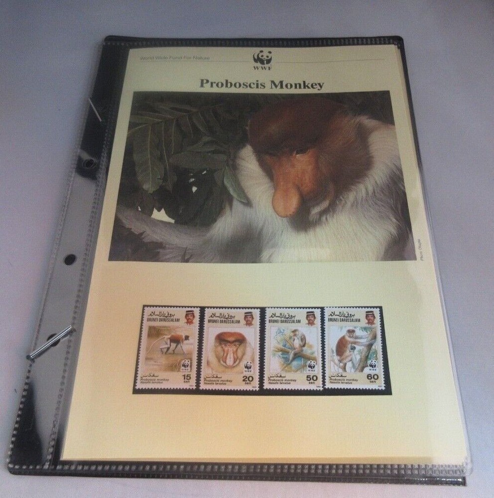 Proboscis Monkey WWF Info Sheets Exclusive Stamps from Brunei and FDC's