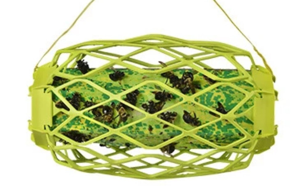 RESCUE! TrapStik for Wasps, Mud Daubers, Carpenter Bees - 2 Pack