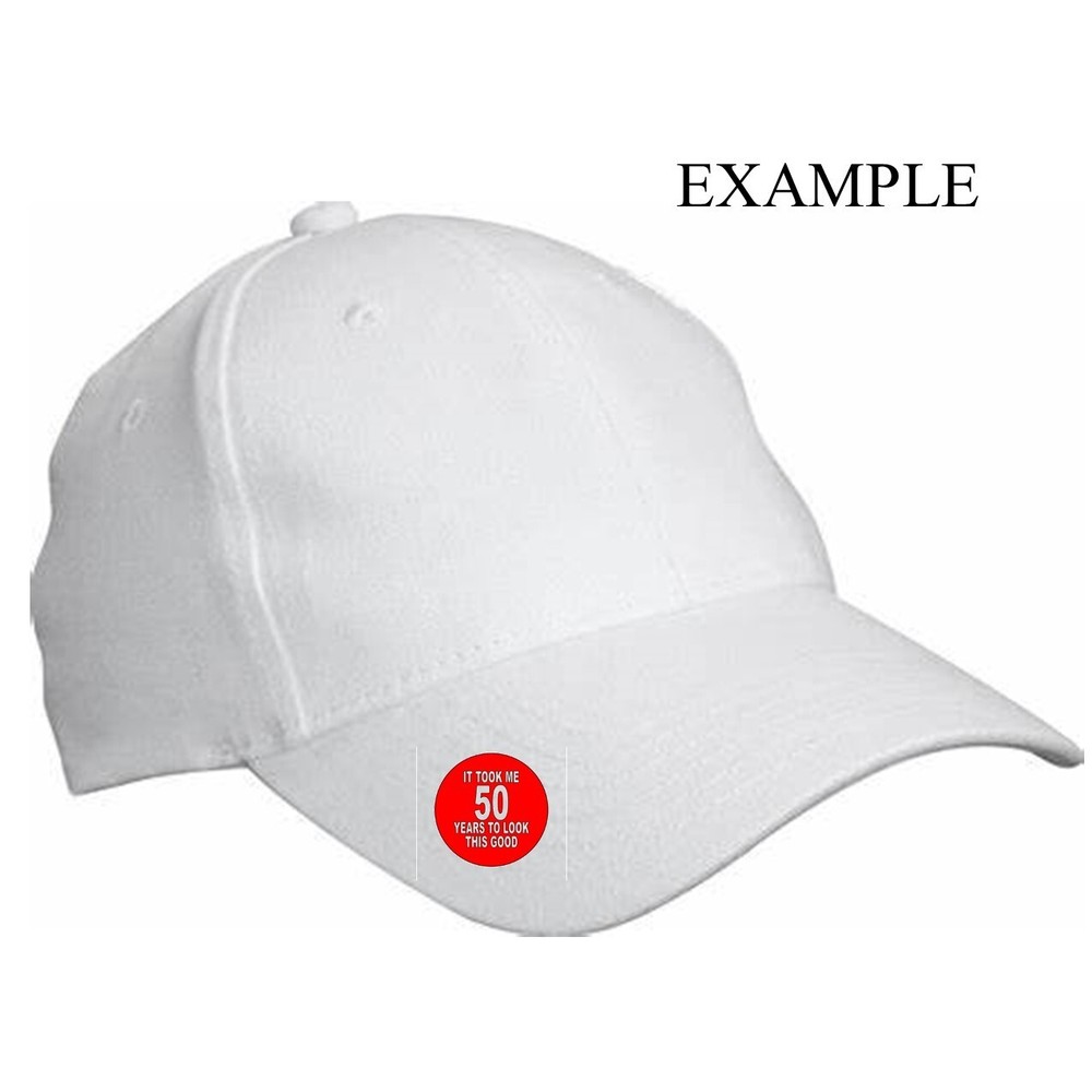 PACIFIC CREST TRAIL Hat OR LAPEL PIN