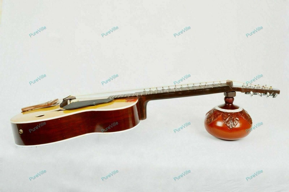 Professional Classical Plucked String Musical Instrument MohanVeena Slide Guitar