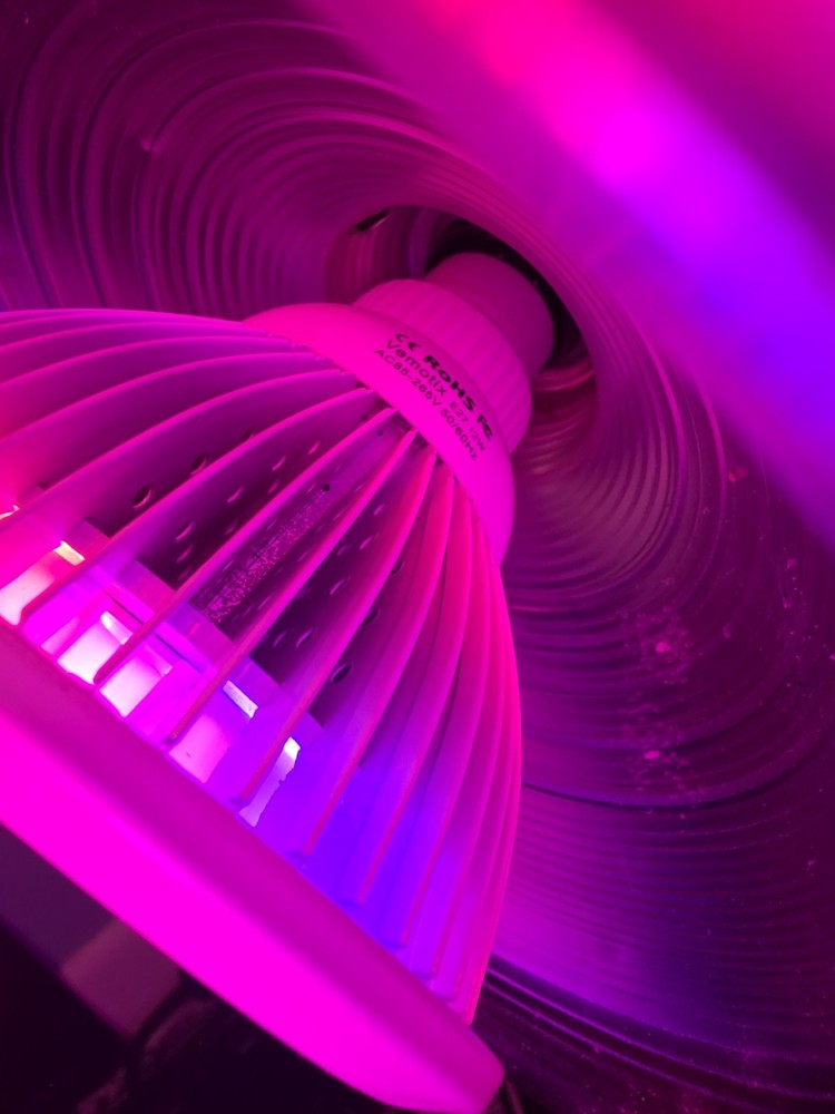 Grow Lights W/ Ballasts And Bulbs