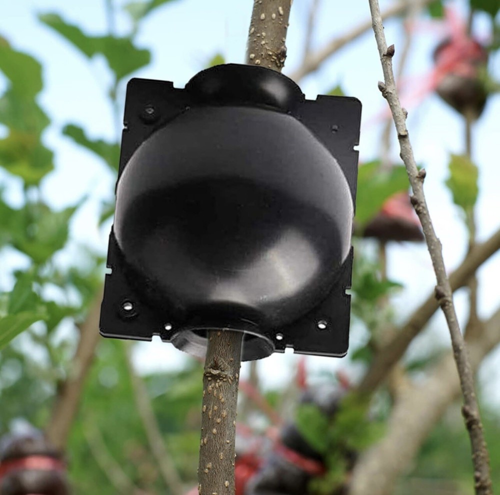 Propagation Rooting Ball for Plant Cutting Seedlings 1pc