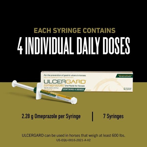 UlcerGard Oral Paste for Horses, Singles