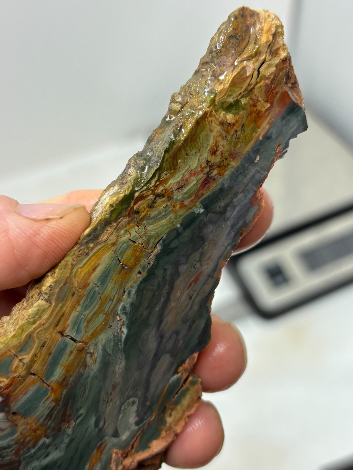 Gary Green Caldera Freedom Jasper Slab Cabbing Lapidary Combo Ship Avail