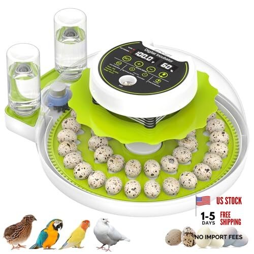 Quail Egg Incubator for Hatching Eggs with Automatic Egg Turning and Green