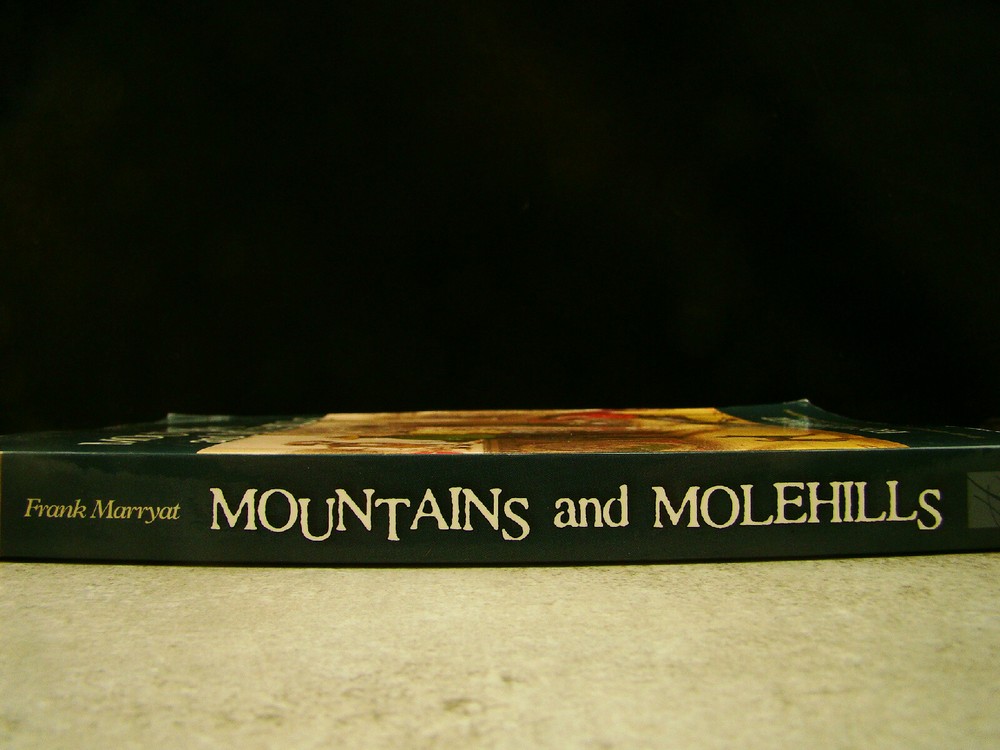 Mountains And Molehills By Frank Marryat