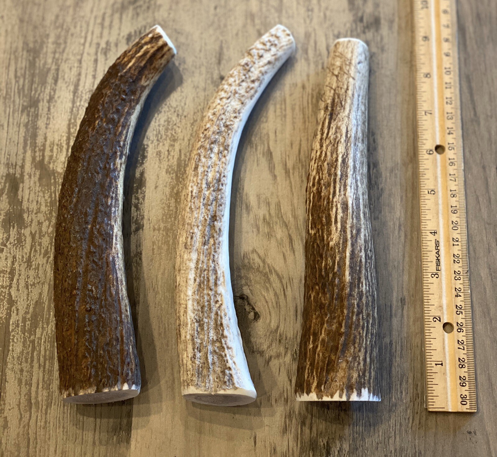 (3 PACK) X-LARGE Elk/Deer Antler Premium Dog Chews **OREGON ANTLER WORKS**