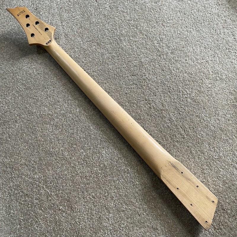 ESP LTD 5 String Bass Maple Neck, Rosewood Fingerboard