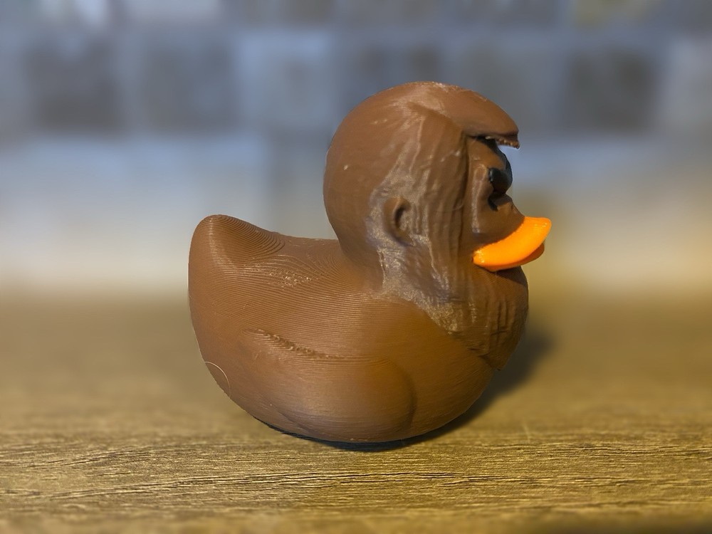 Big Foot Duck
