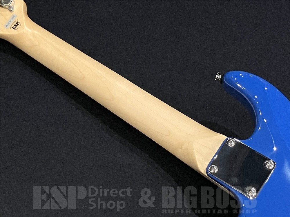 BanG Dream! SNAPPER Tae Mini (Discontinued)