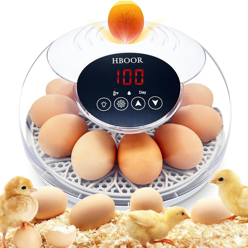 Incubators for Hatching Eggs, 12 Egg Incubator with Automatic Egg Turning and Te