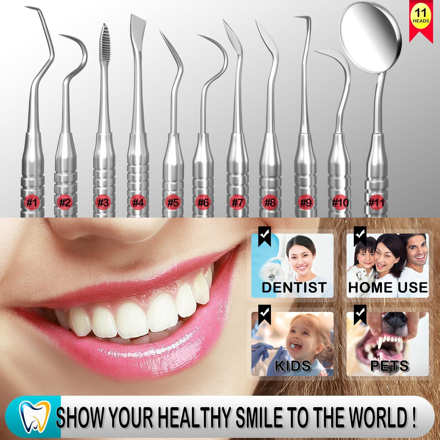 Dental Tools, Dental Pick for Teeth Cleaning, Stainless Steel Hygiene Kit with T