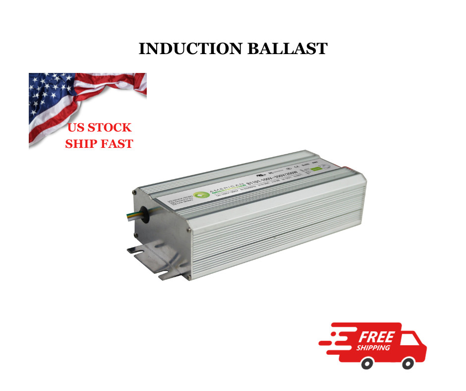 100W Induction Lamp Ballast