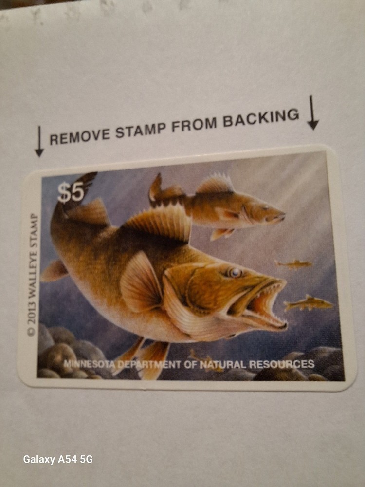 2013 MNDNR WALLEYE STAMP