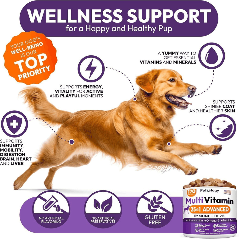 (2 Pack) Multivitamin Chews for Dogs