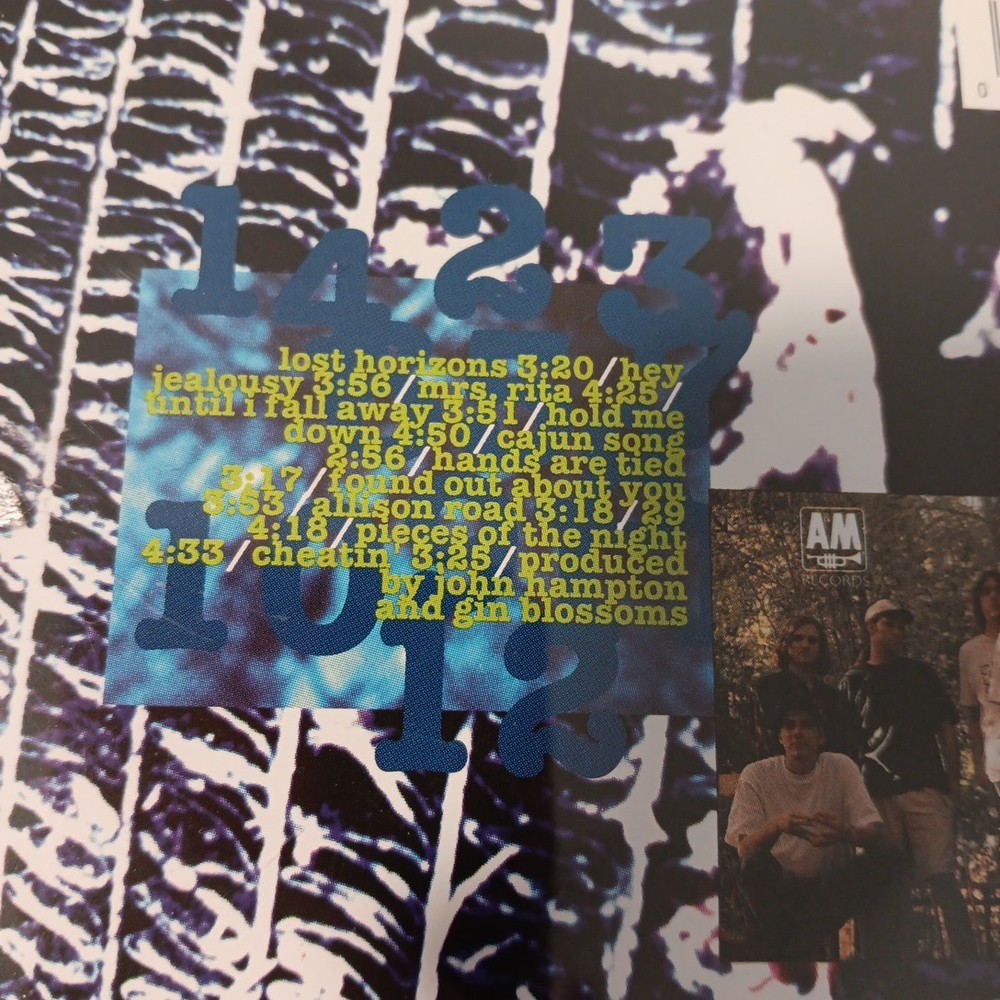 GIN BLOSSOMS New Miserable Experience CD -Cleaned Buffed Polished in Clean Case