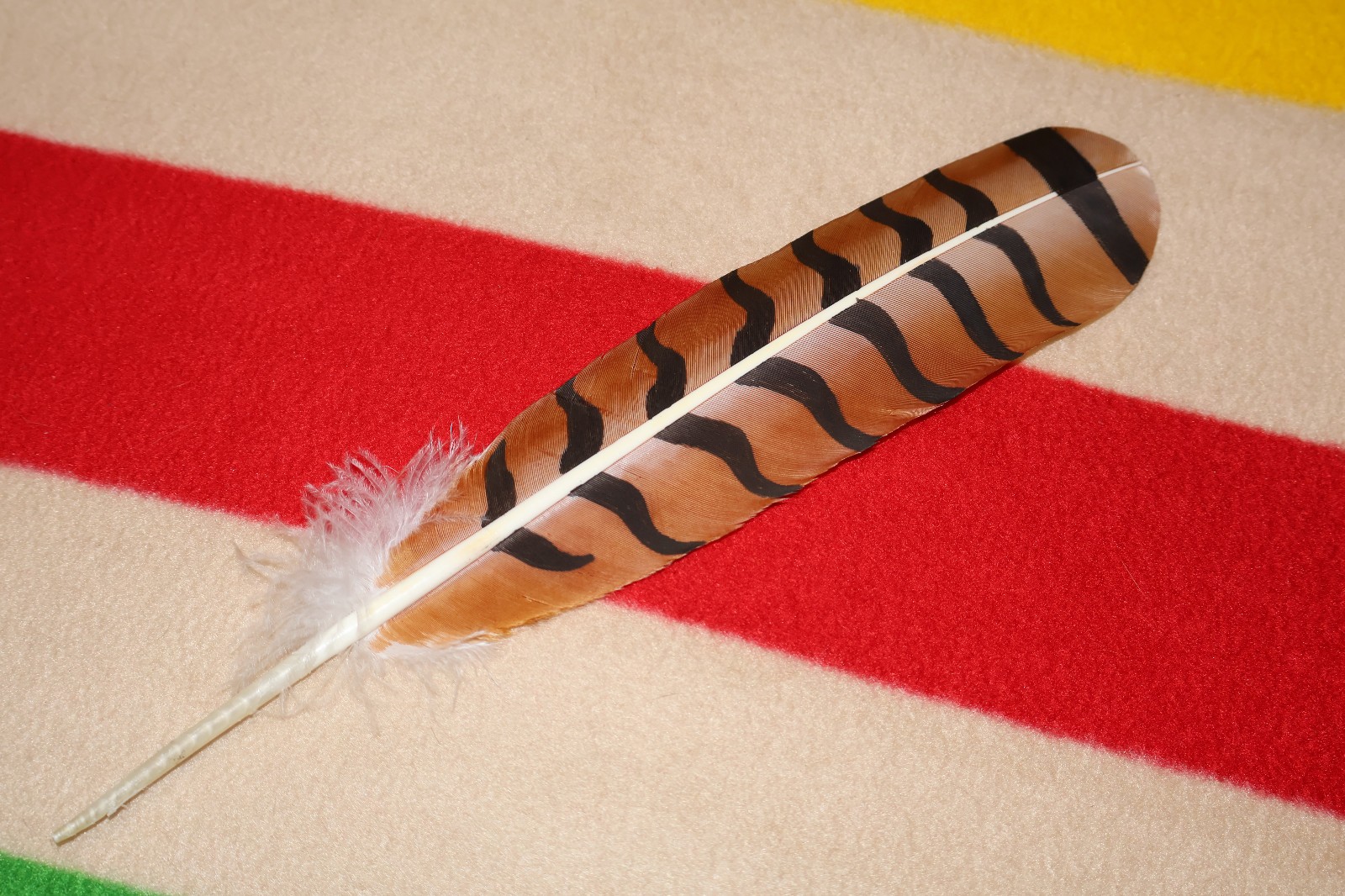 Native American hand painted Red-Tailed Hawk Feather