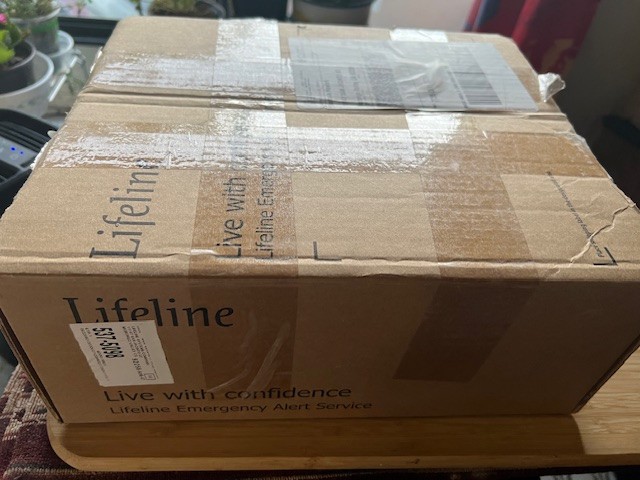 Lifeline Philips Gosafe Mobile Systems