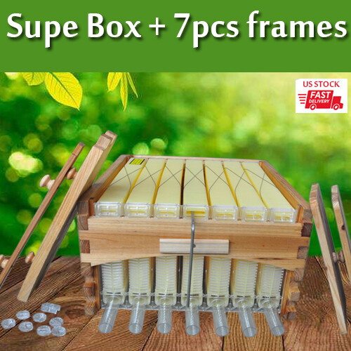 Auto Bee Hives Super Bee Box Beekeeping Hives + 7 Bee Hive Frames Bee Frames New