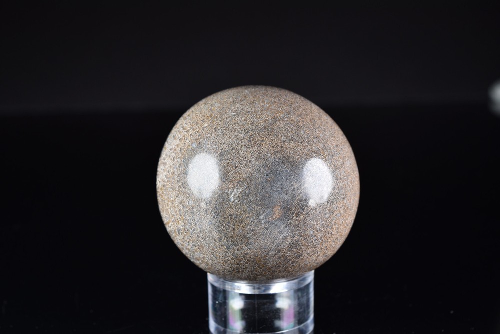 Dinosaur Bone Sphere from Morocco 7.6 cm # 20121