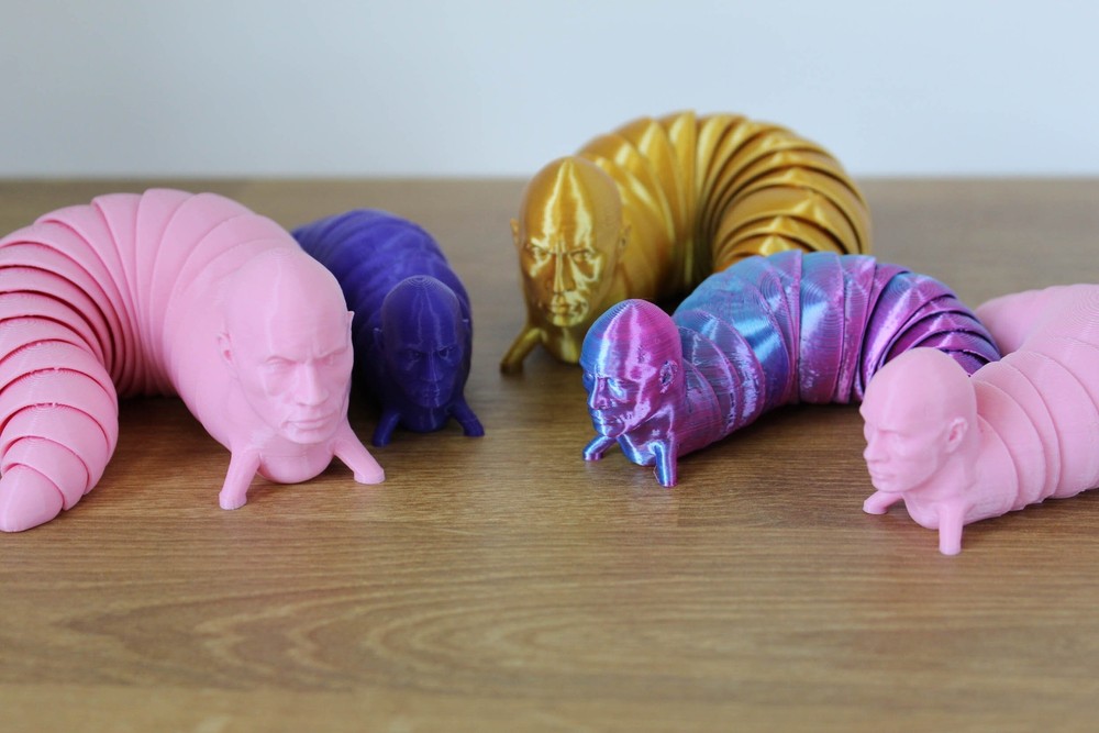 The Rock Fidget Slug