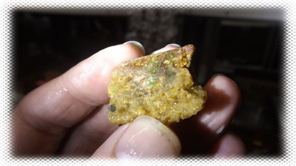 64cts Louisiana Opal Rough Specimen