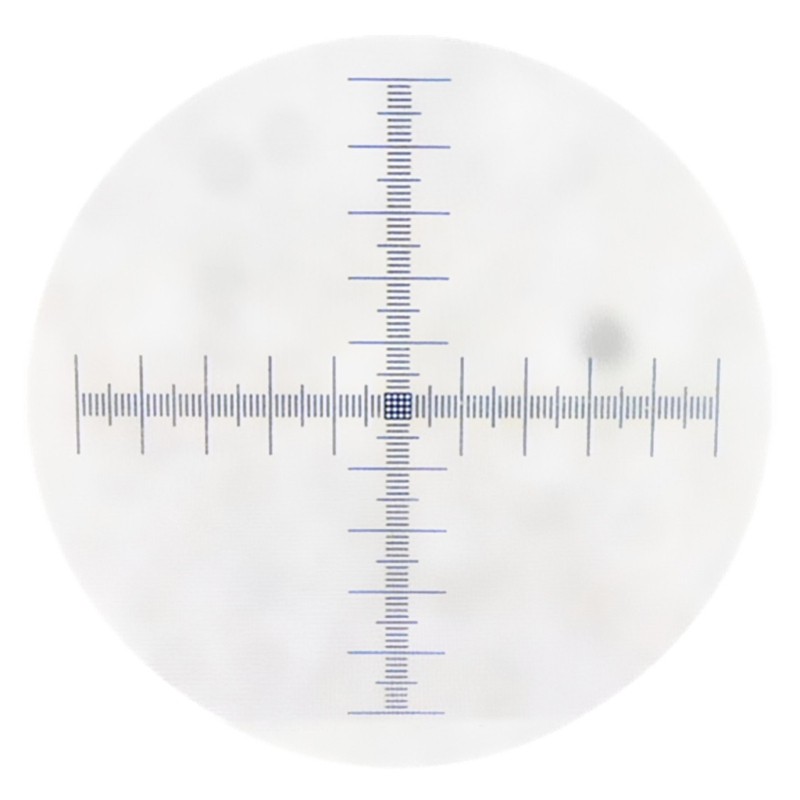 Electronic Eyepiece Microscope Camera Calibration Slide 0.01mm Microscope Slides