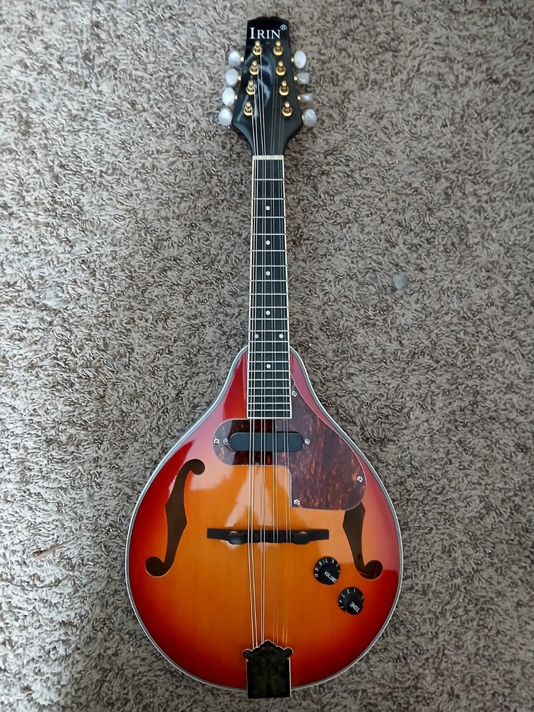 electric mandolin
