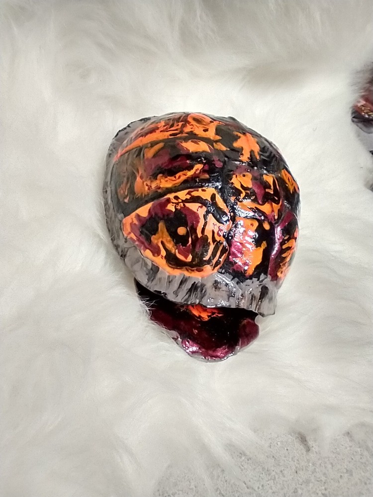 Turtle Hidden Images Unique Hand painted Turtle Shell Halloween Theme