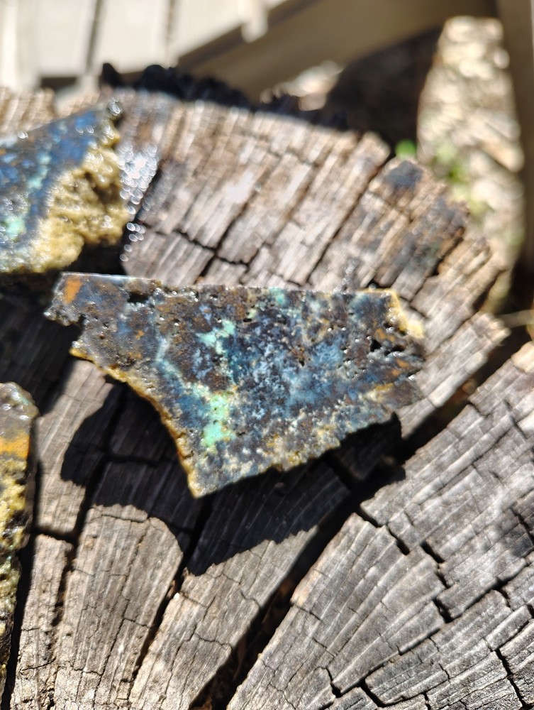 petrified wood with Chrysocolla 3 piece lot