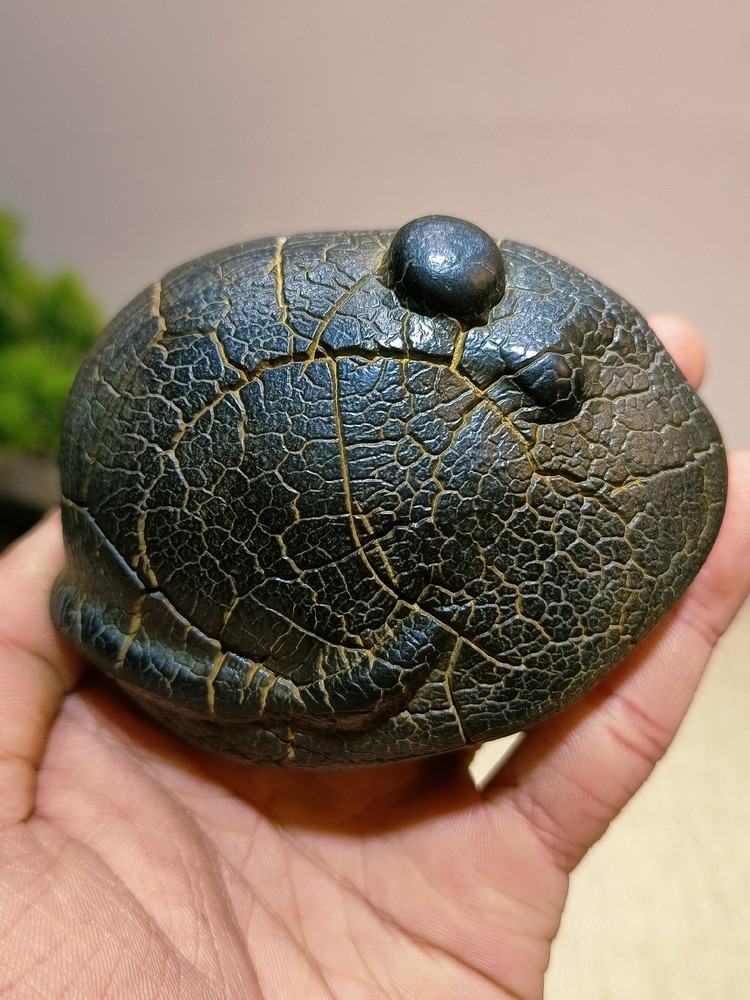 China Natural stone "tortoise back pattern" stone Moire stone 856547