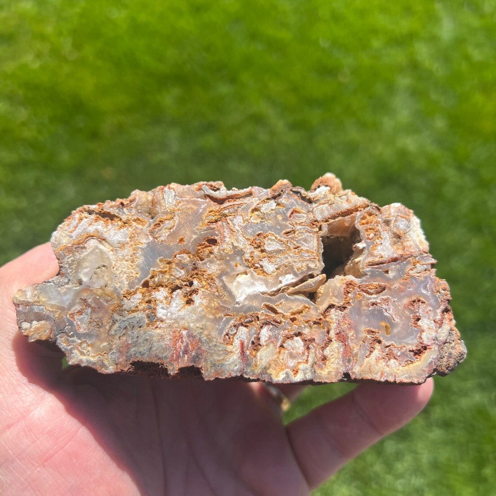 Liberty Ledge Agate Rough Faced Specimen 386gm (P22)