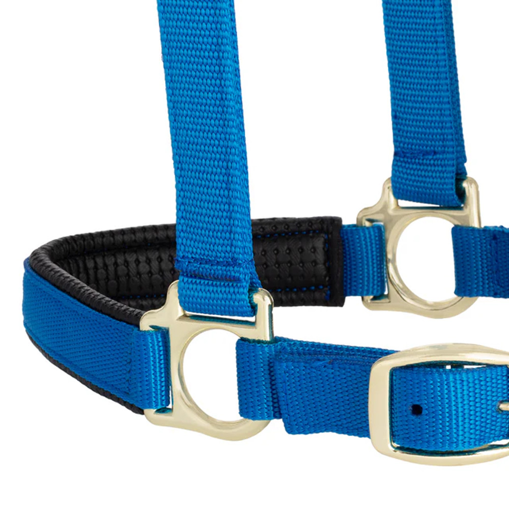 35-6075-BL Weaver Leather Padded Breakaway Adjustable Snap Halter - Solid Blue