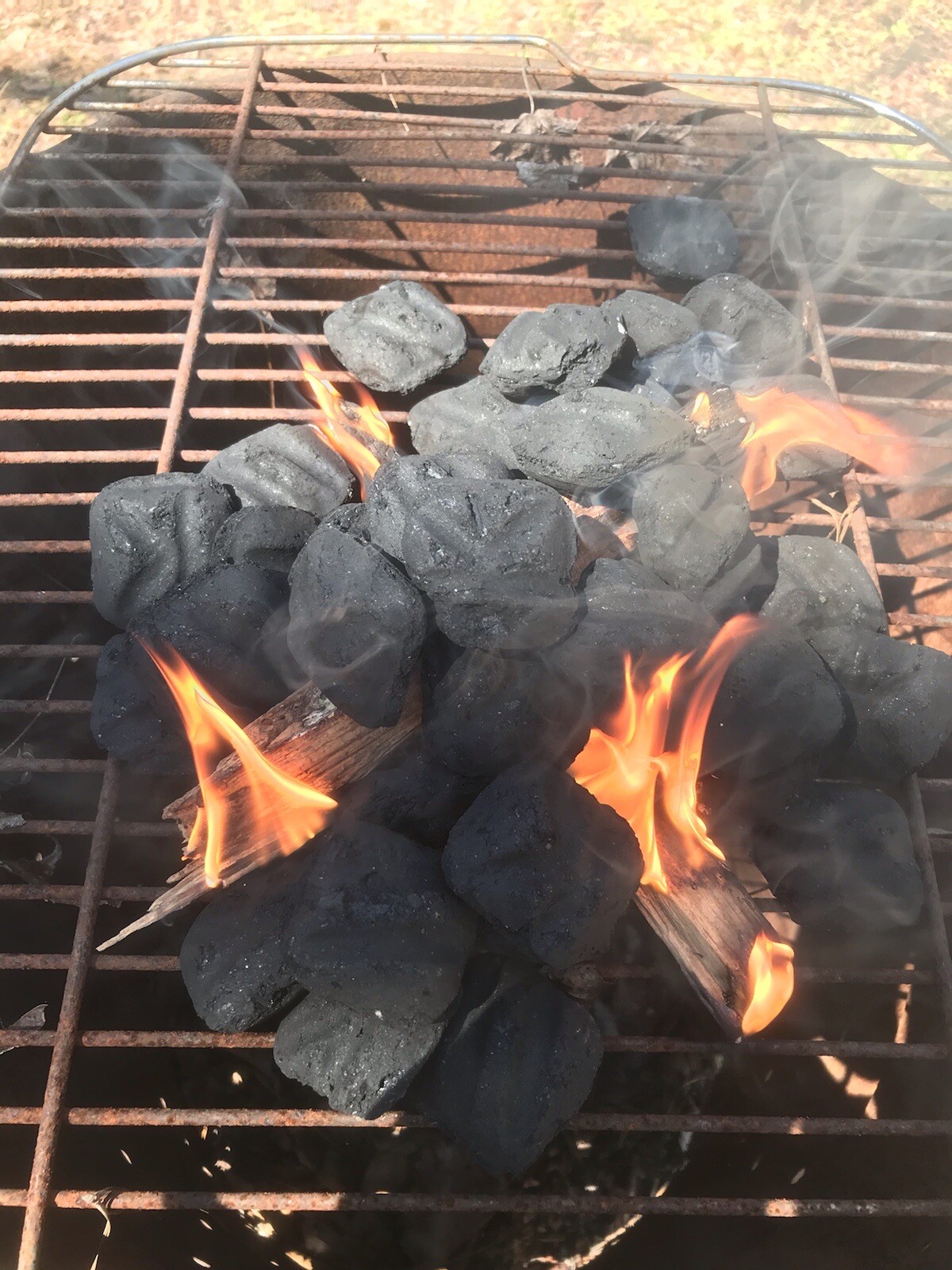 10 lbs Georgia ”FATWOOD FUEL” Kindling Firewood Lighter Ocote Chez JonesTHE BEST