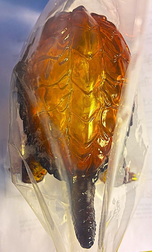 CCP MIDDLE SIZ GAMERA 1996 Vol7 CLEAR ORANGE ULTIMATE PLASMA 2026 USA SELLER MIB