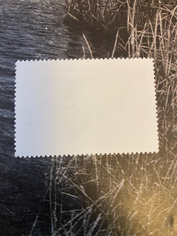 1998 Idaho State Duck Stamp,