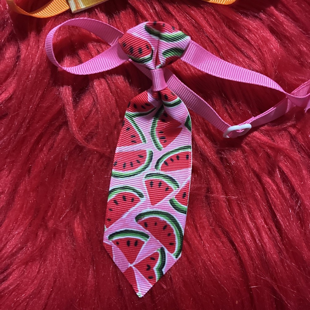 2 X Fruit Pattern, Cat Or Dog, Adjustable Bow & Tie Set. Homemade.