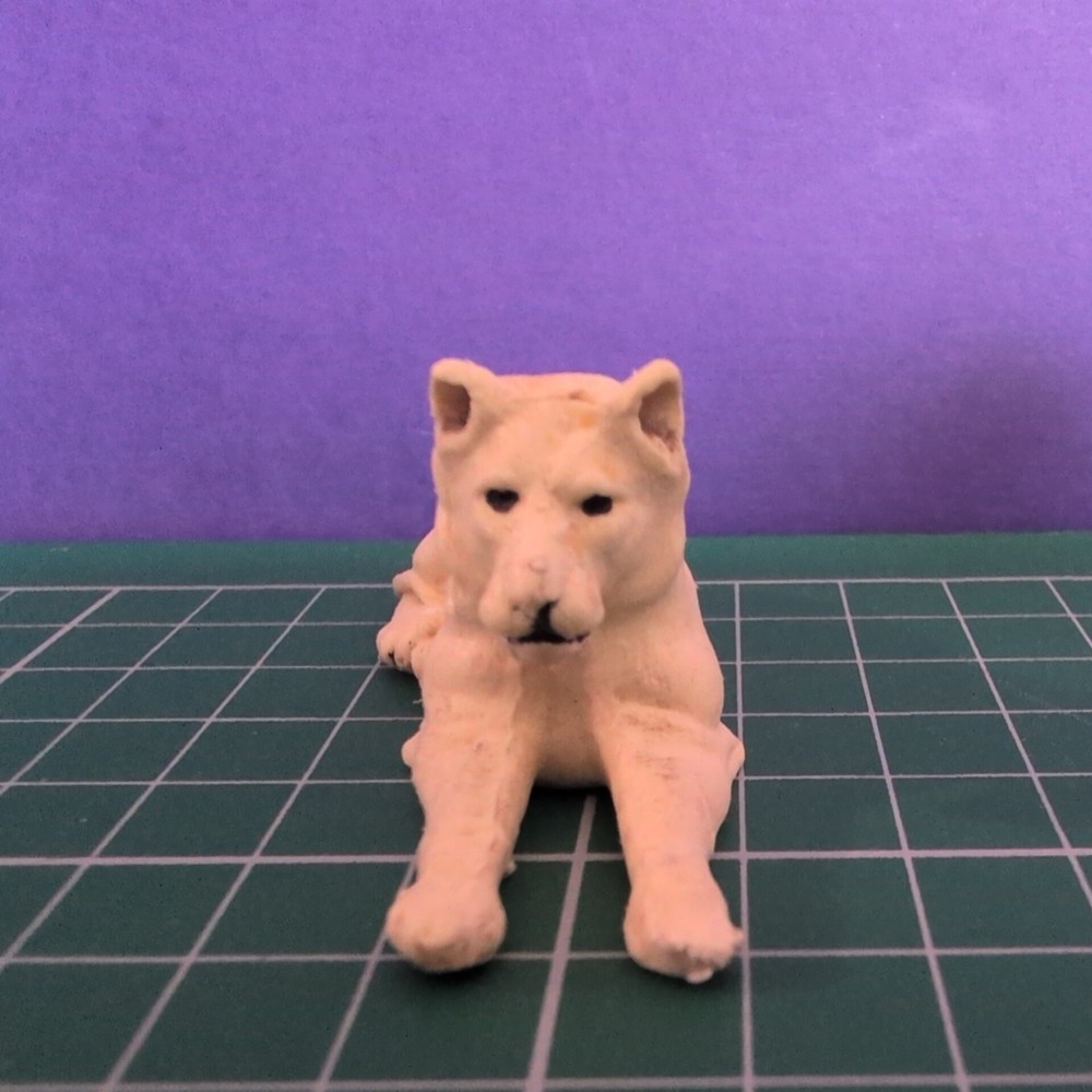 Britain's Zoo - Lioness