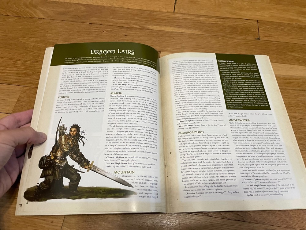 Pathfinder RPG Dragonslayer's Handbook RPG D&D 3.5 D20