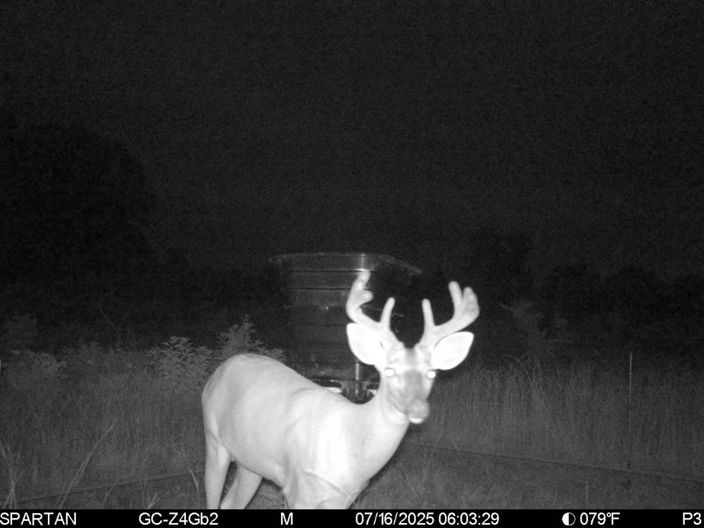 gravity deer feeder kit