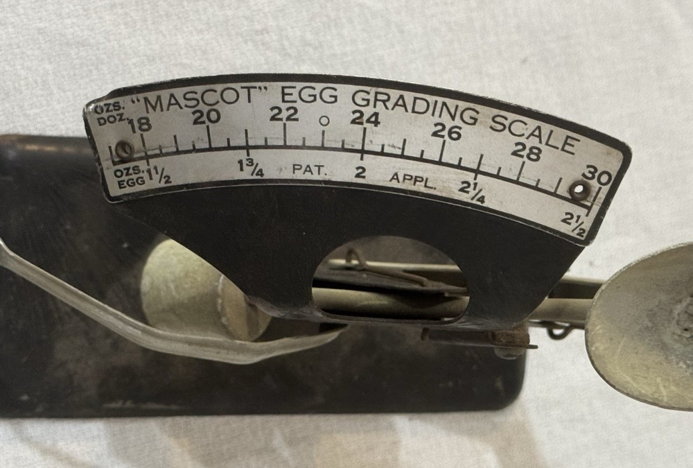 Antique "Mascot Egg Grading Scale"