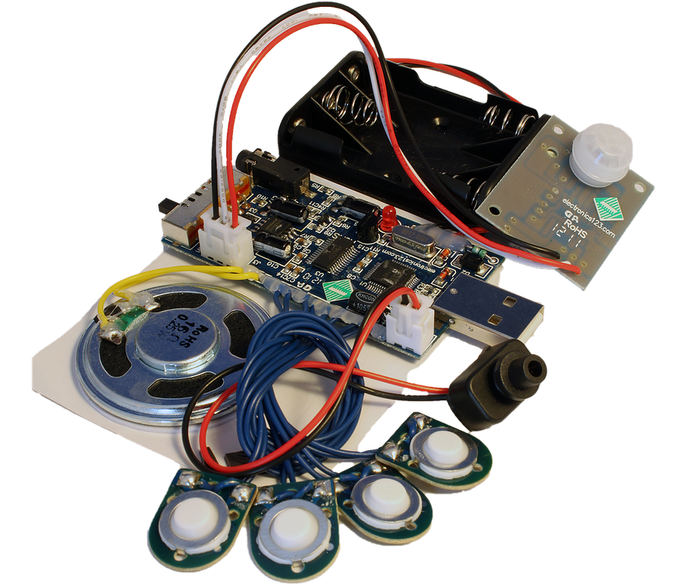 300 Second USB Recording Module w/ Light Sensor and PIR for Motion Activation