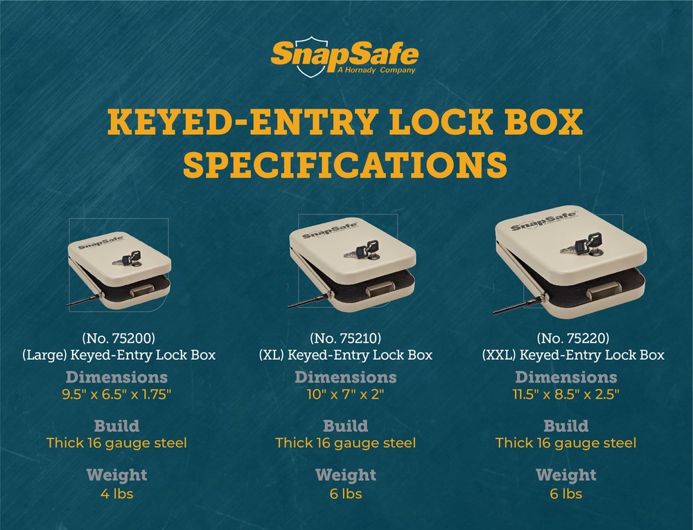 SnapSafe Portable Lock Box, Include 2 Keys, Security Cable- 9.5"x 6.5"x 1.75""