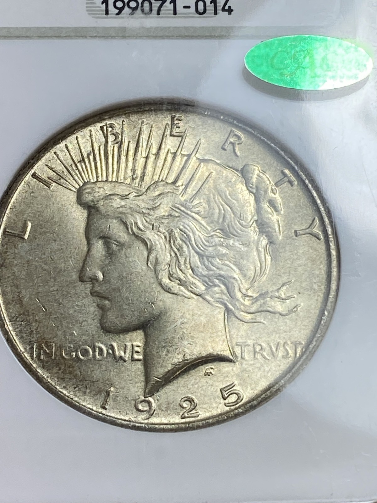 1925 Peace Dollar NGC MS 64 CAC No Barcode Fatty Nearly Full Holo Sticker