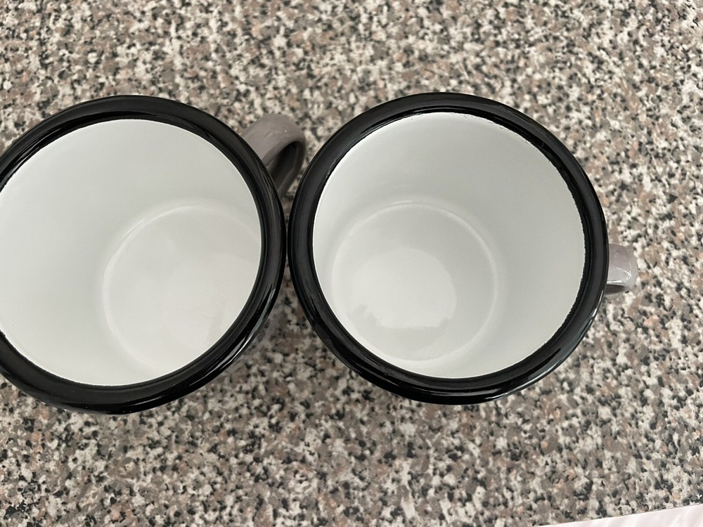 Set Of 2 Gray Compass Enamelware Cups