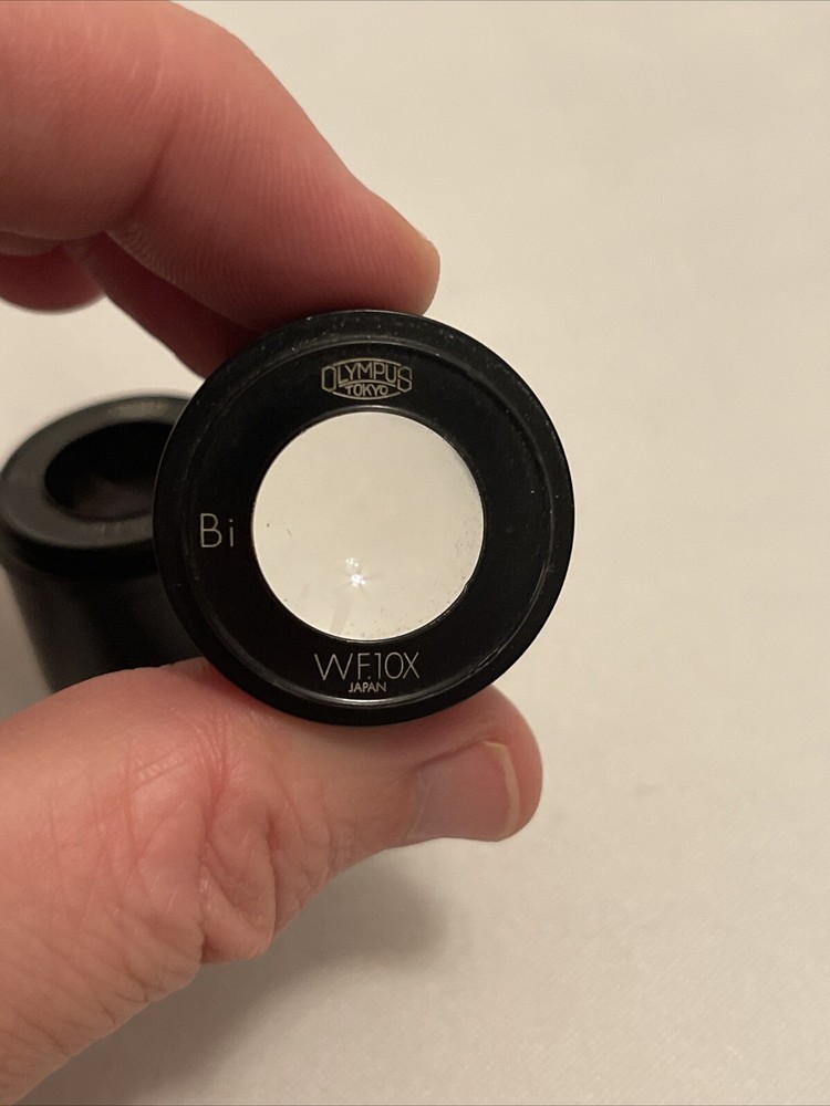 Olympus Bi WF10X Microscope Ocular Set