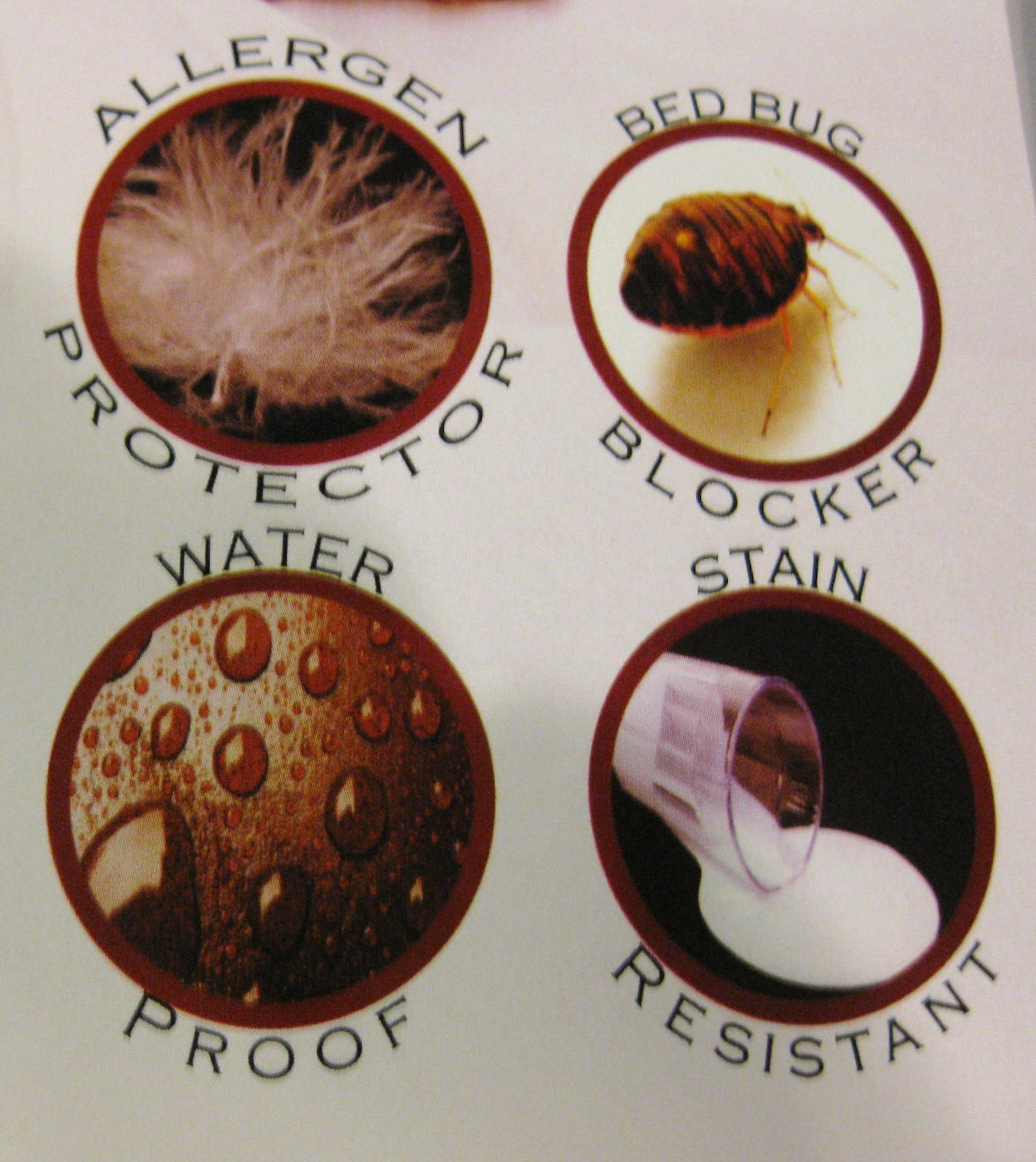 BEST SELLER! Bed Bug PROTECTOR Soft Lux FABRIC ~ Allergen Zipper MATTRESS COVER