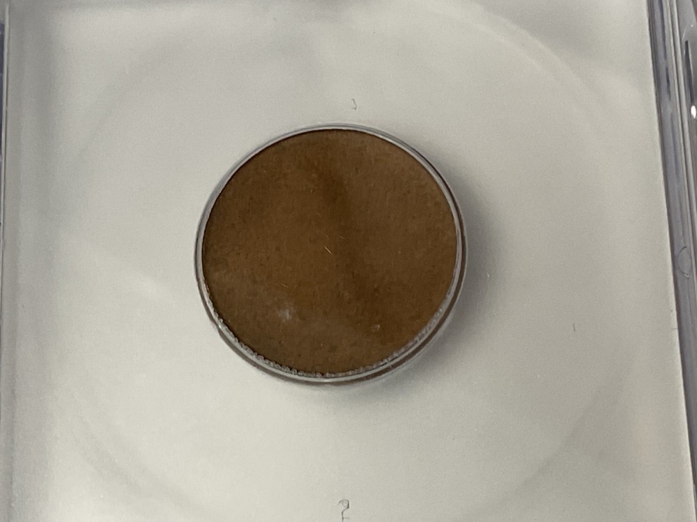 "ICG Brilliant Uncirculated" Blank Planchet *Signed by Grader*