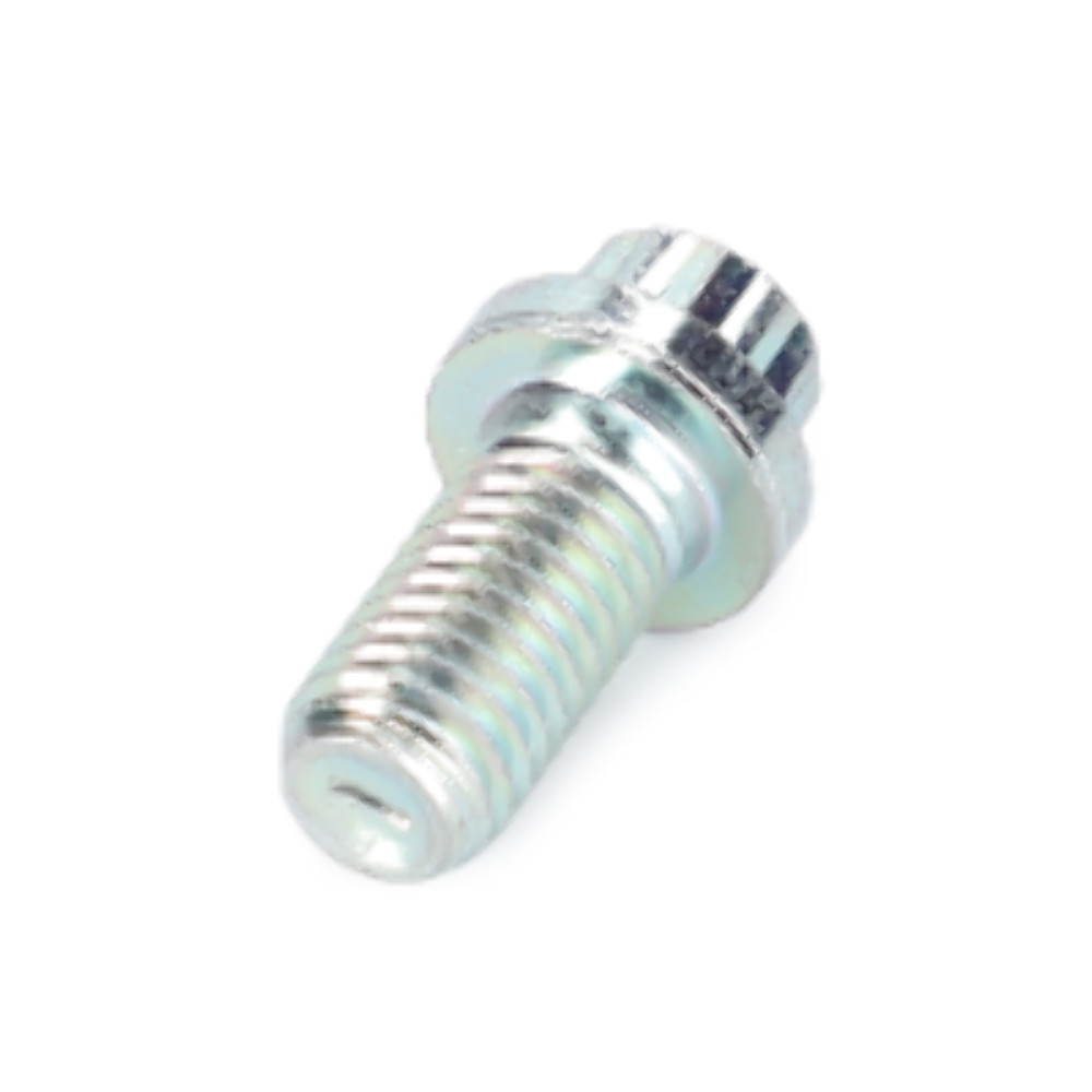 AGCO Screw 12 points flange head 3009775X1