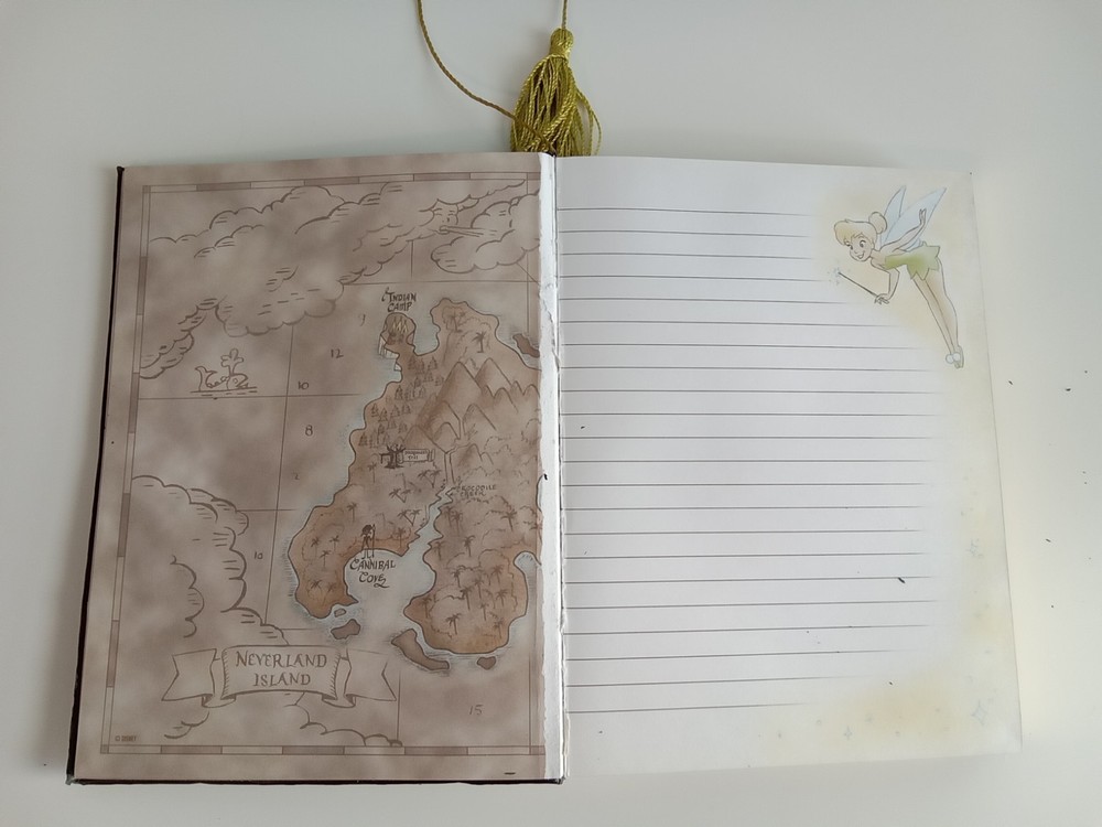 Hard Cover Tinkerbell Gold Edged Lined Journal Diary Notes